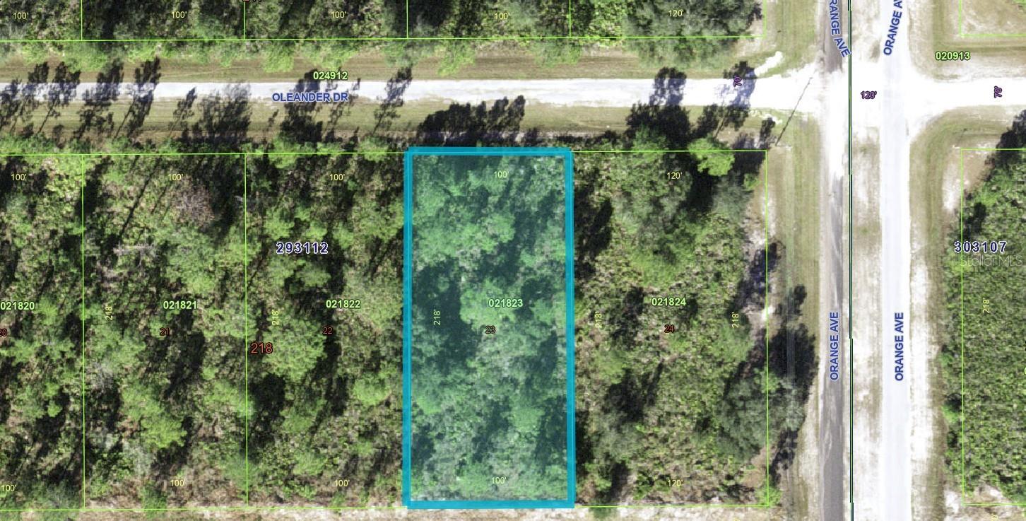 Oleander Dr Property Photo 7