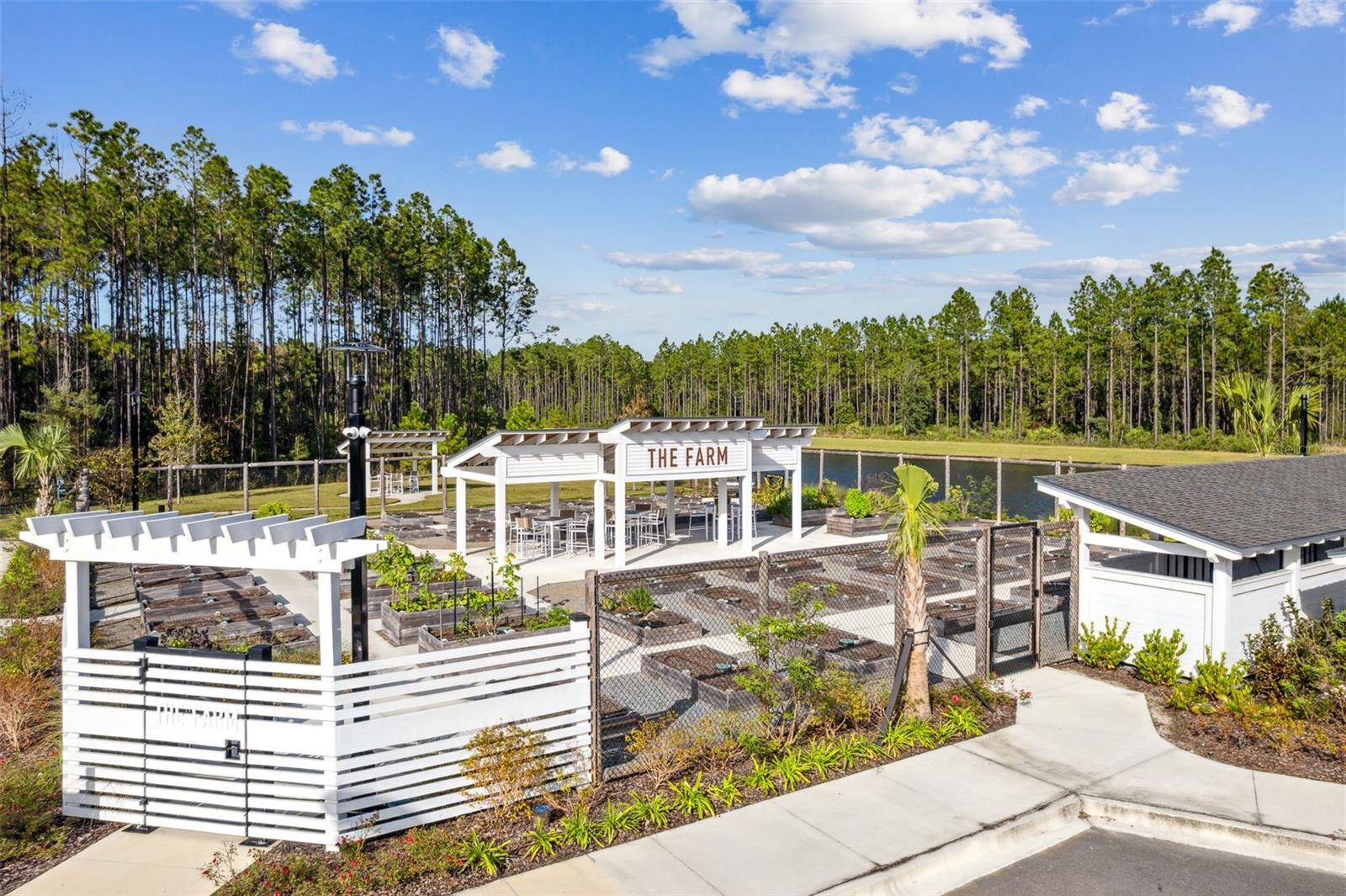 217 Ethereal Sq Property Photo 43