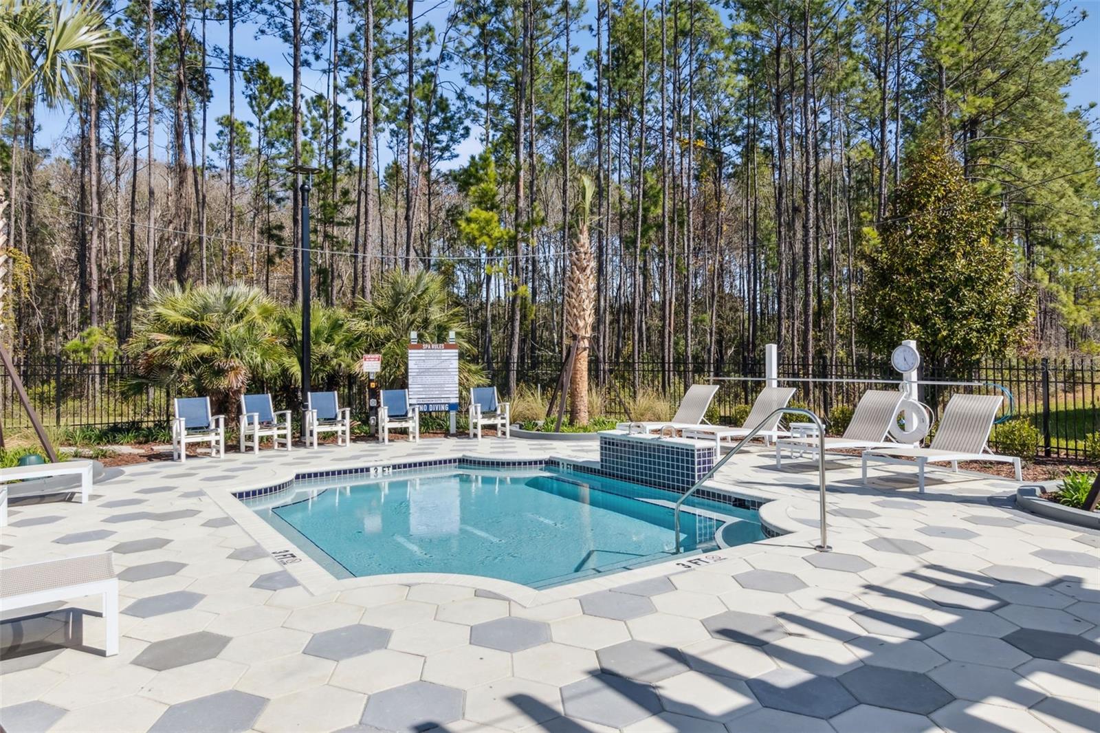 217 Ethereal Sq Property Photo 50