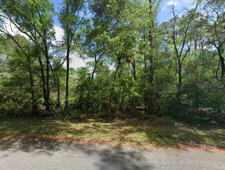 11476 W Cockscomb Dr Property Photo 1