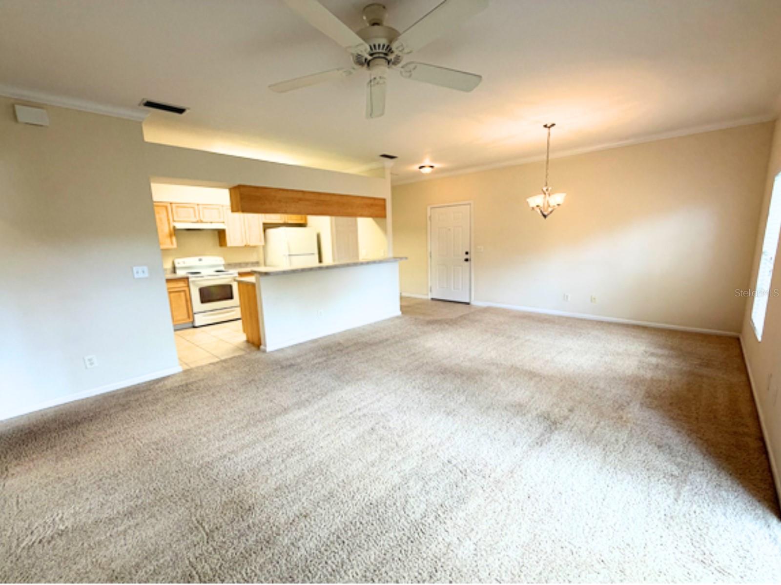 101 Eagle Pond Dr #101 Property Photo 3