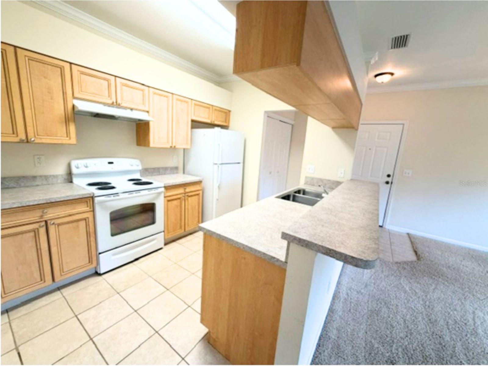 101 Eagle Pond Dr #101 Property Photo 4
