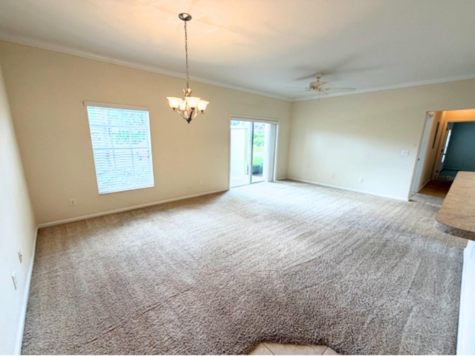 101 Eagle Pond Dr #101 Property Photo 6