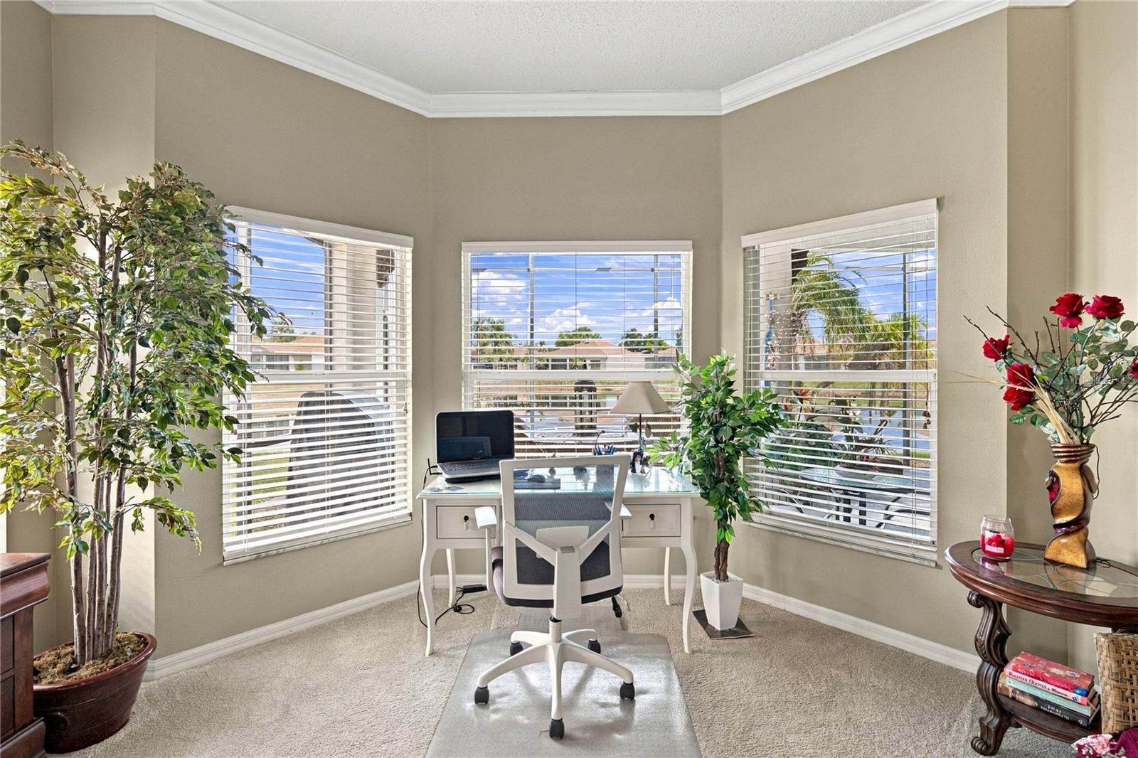 4232 Dornoch Dr Property Photo 45