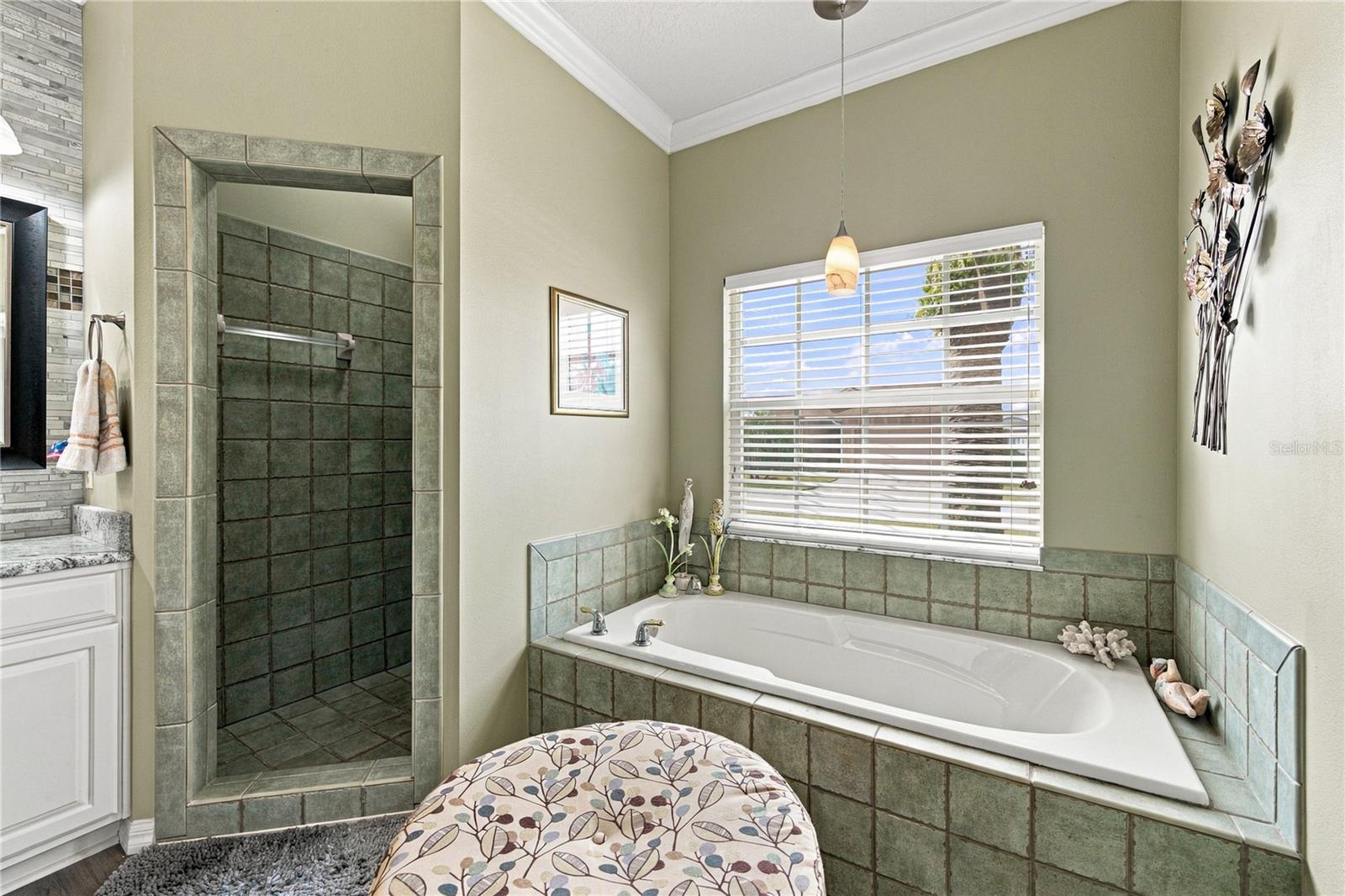 4232 Dornoch Dr Property Photo 48