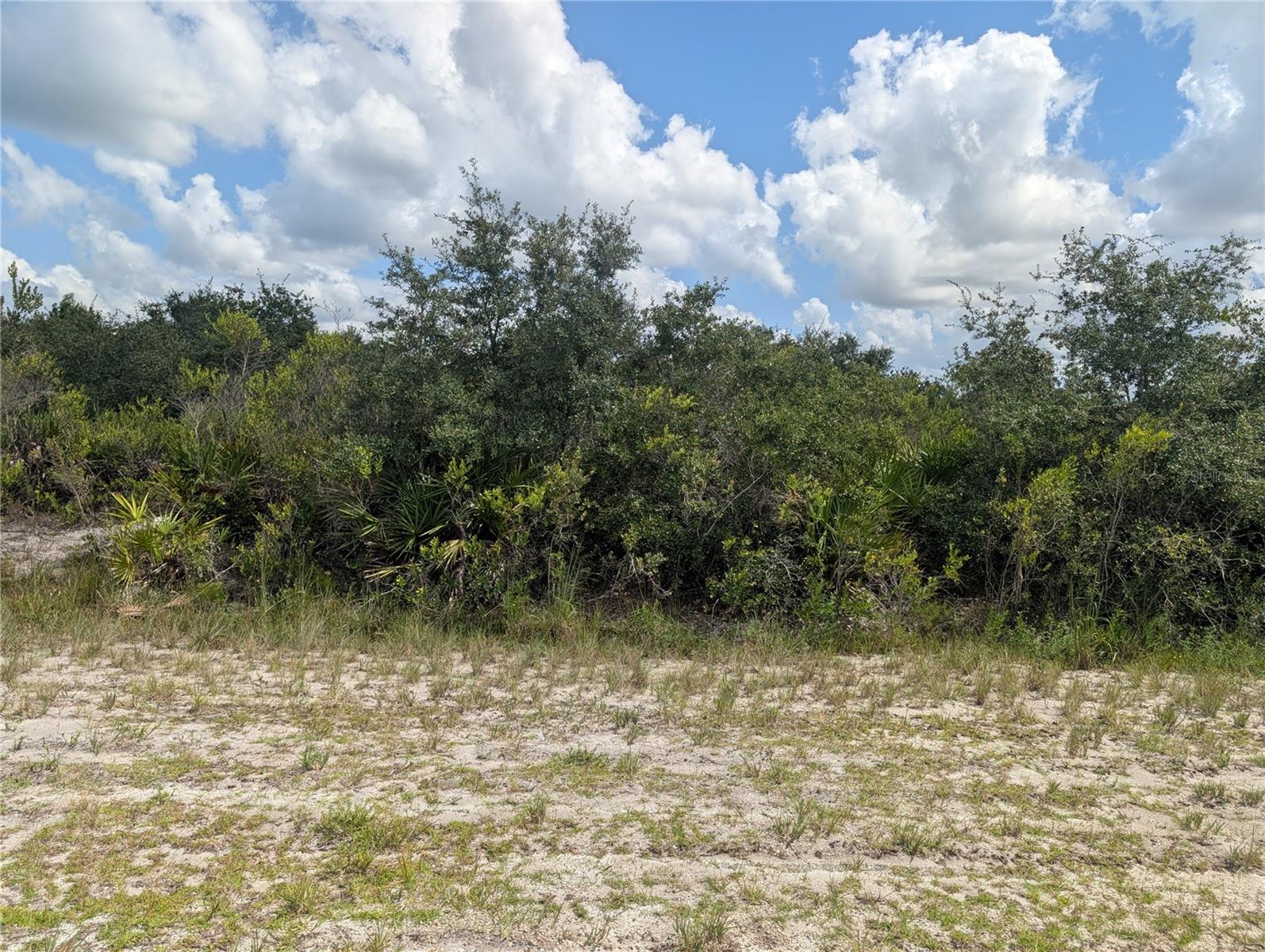 SARASOTA DR Property Photo 1