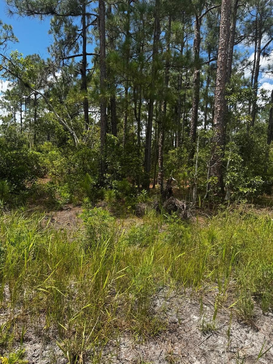 MCCLELLAN RD #6 Property Photo 1