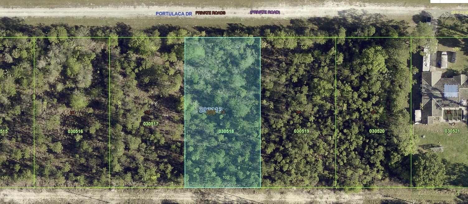1013 Portulaca Dr Property Photo 3