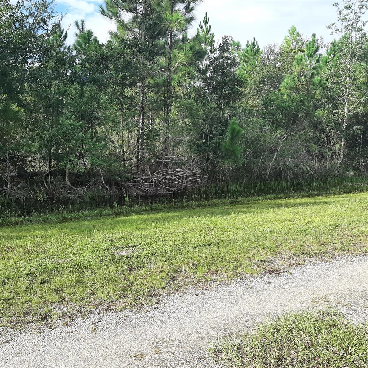 1013 Portulaca Dr Property Photo 4