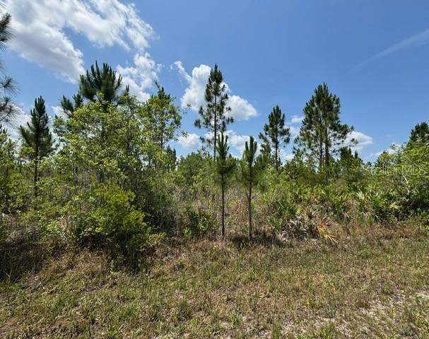 1015 CALLIANDRA DR Property Photo 1