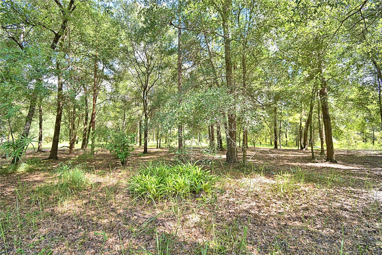6711 Redwing Rd Property Photo 66