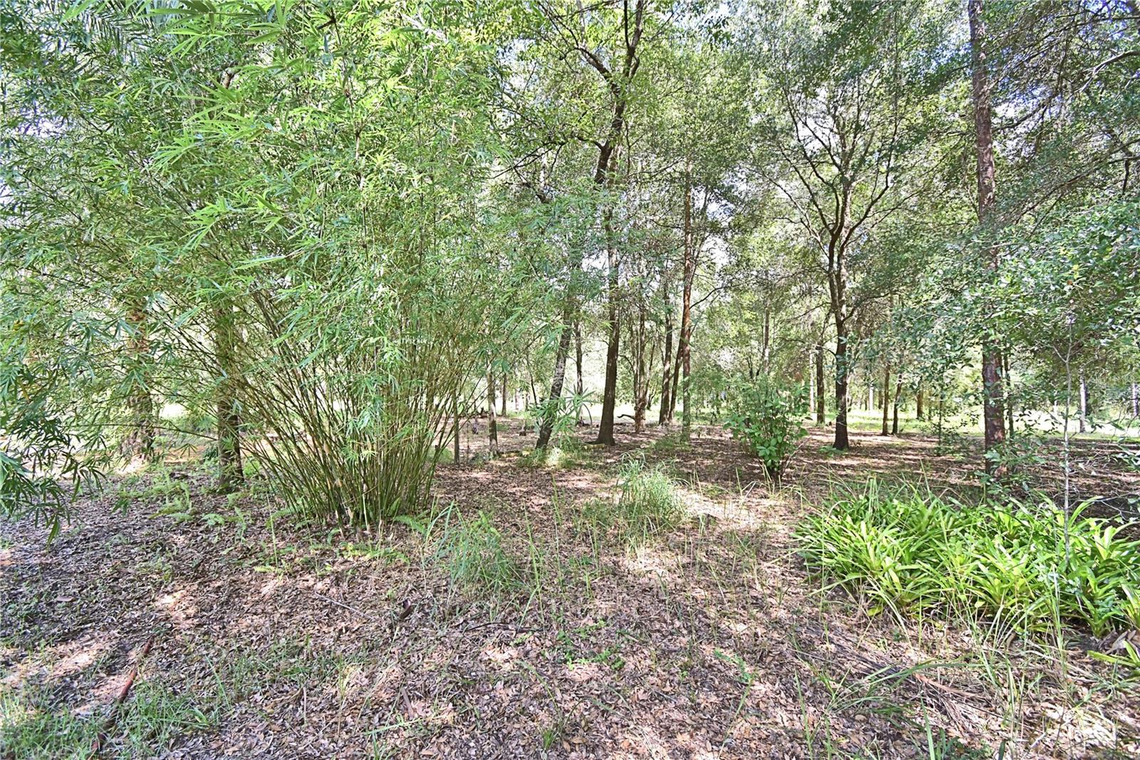6711 Redwing Rd Property Photo 67