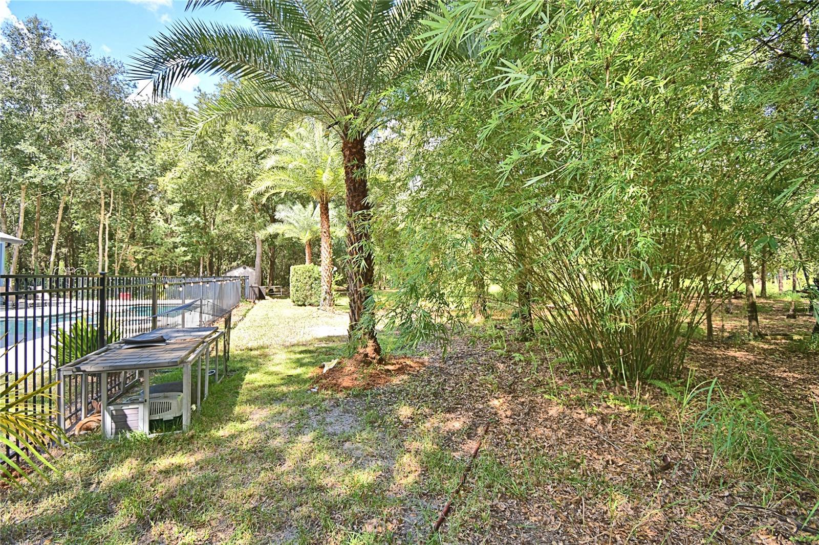 6711 Redwing Rd Property Photo 68