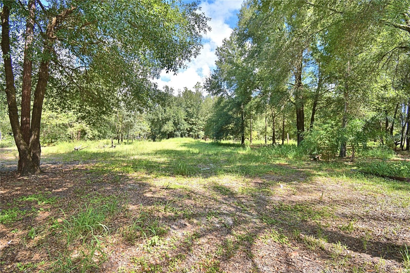 6711 Redwing Rd Property Photo 69