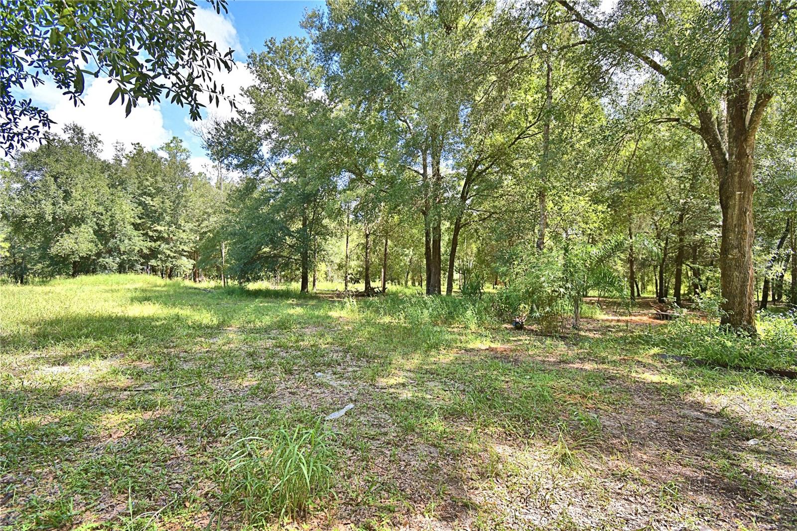 6711 Redwing Rd Property Photo 71