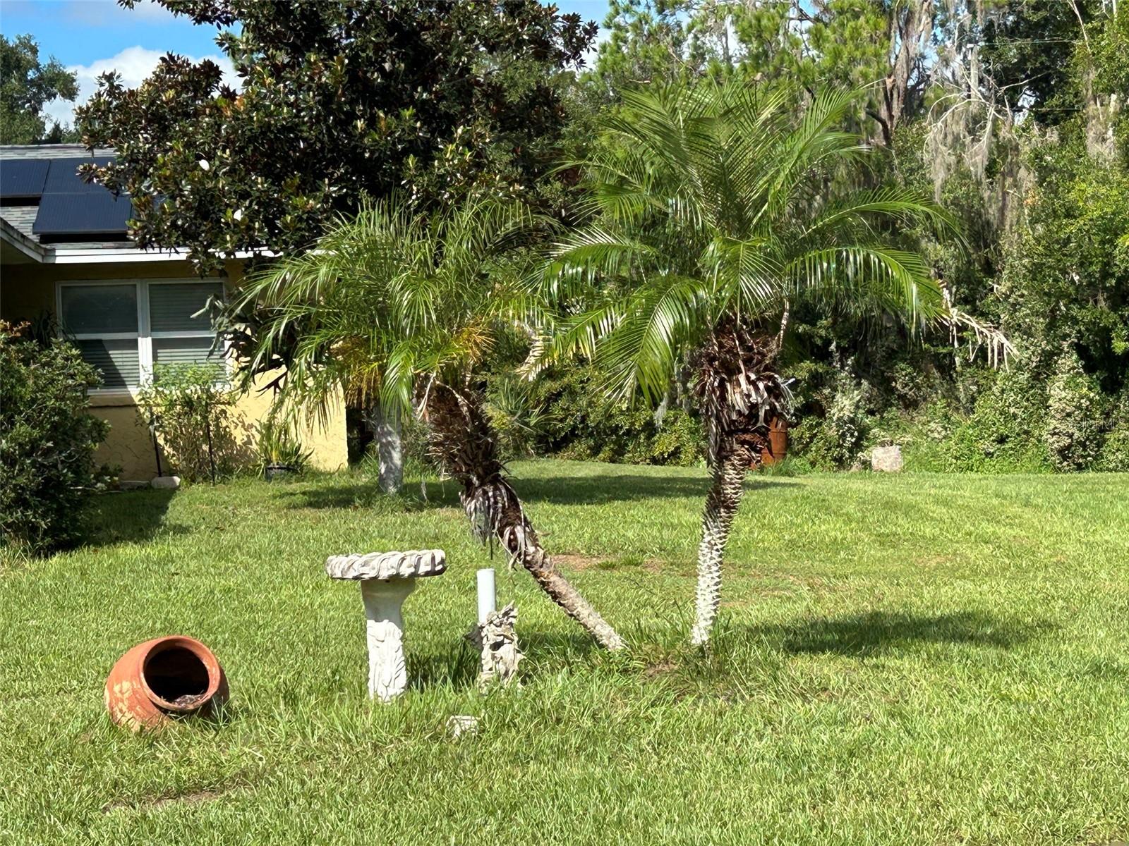 5637 Moon Rise Ln Property Photo 5