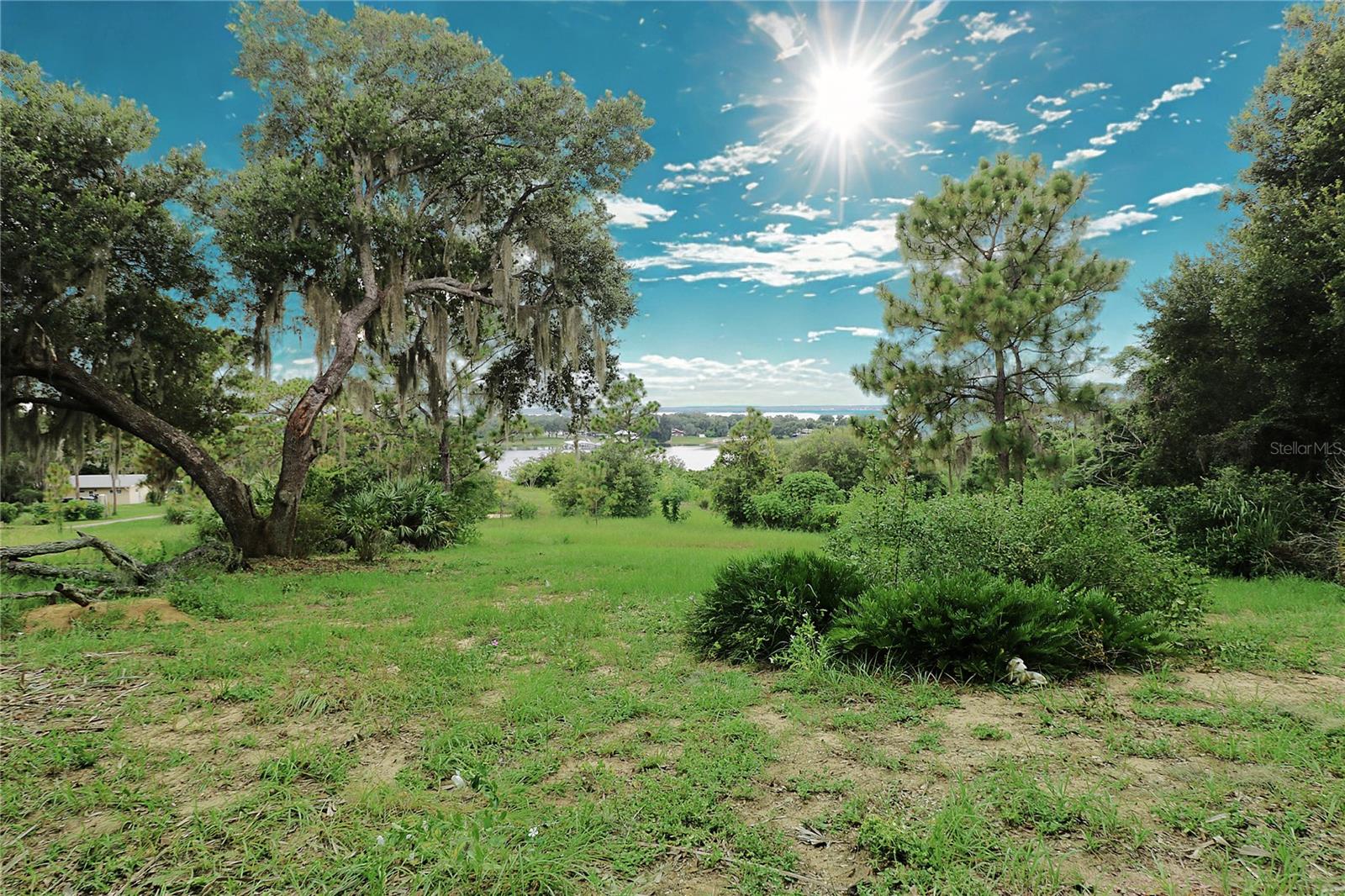 1109 Cody Villa Loop Rd Property Photo 34