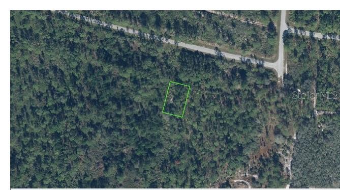 8604 Robbia St Property Photo 1