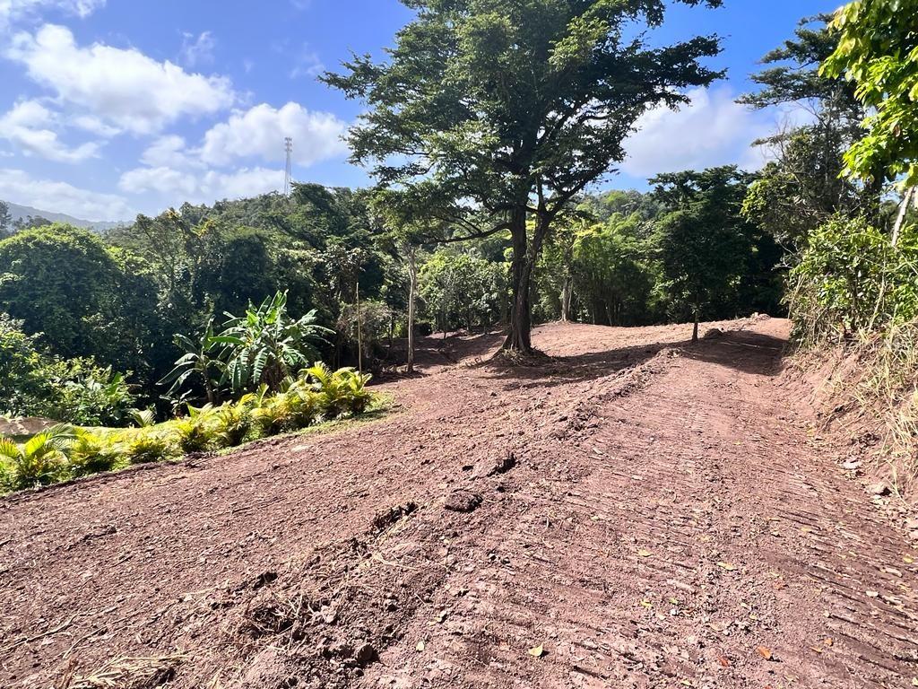 Bo. Damian Abajo Property Photo 3