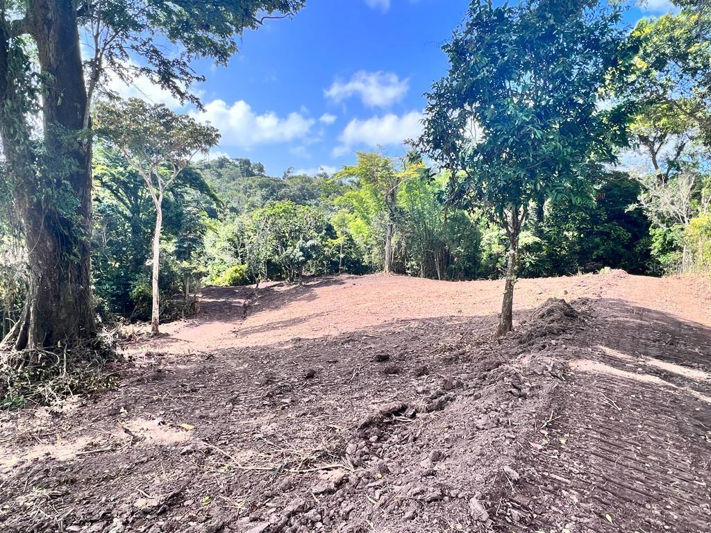 Bo. Damian Abajo Property Photo 4