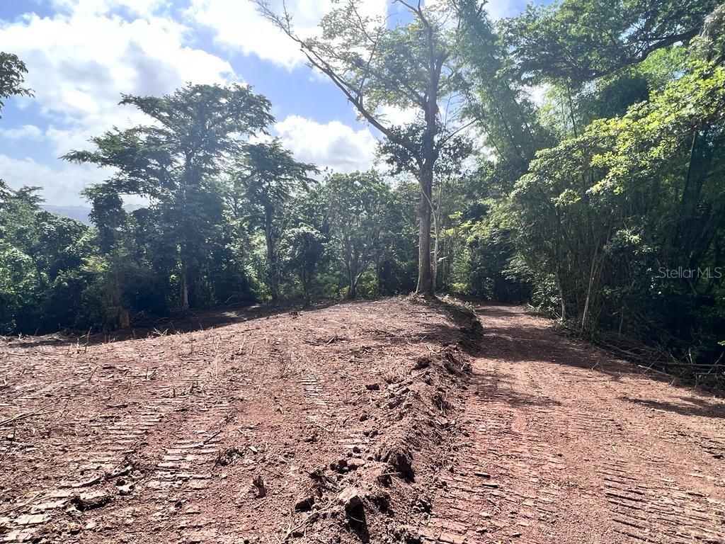 Bo. Damian Abajo Property Photo 5