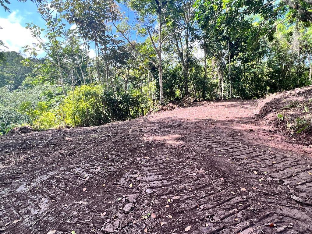 Bo. Damian Abajo Property Photo 7