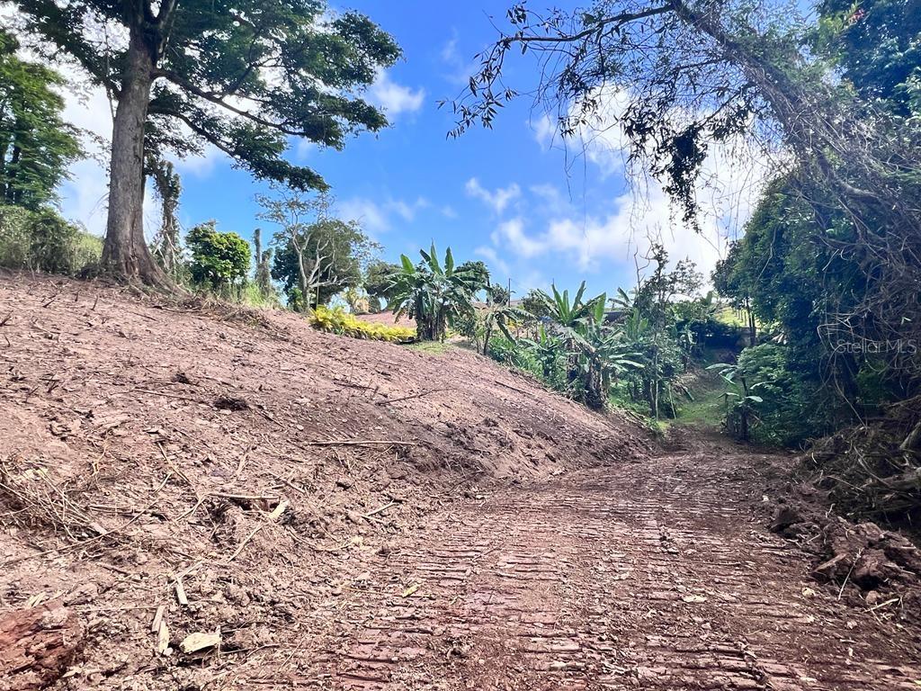 Bo. Damian Abajo Property Photo 8