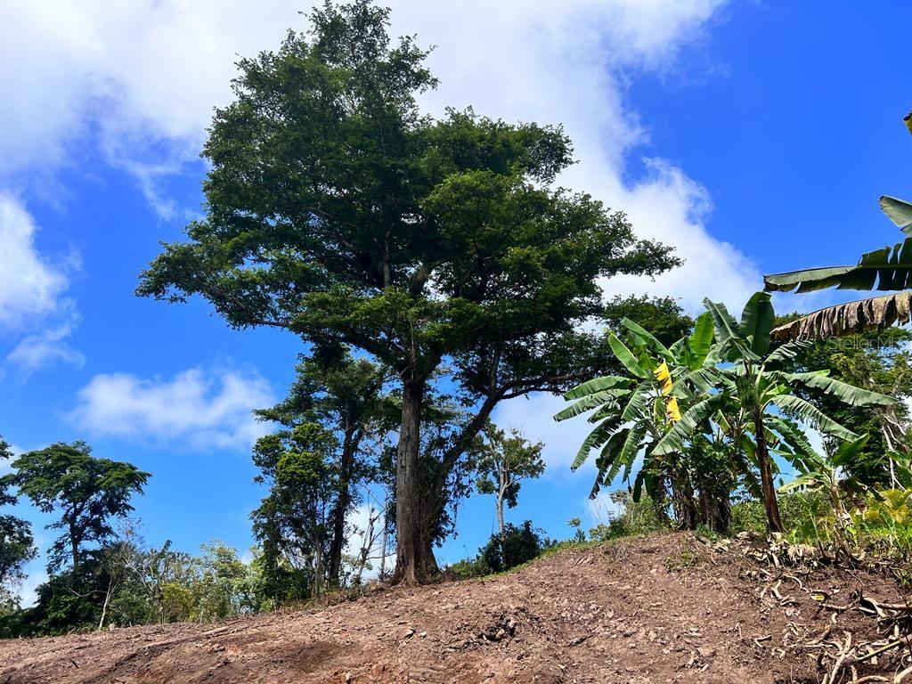 Bo. Damian Abajo Property Photo 9