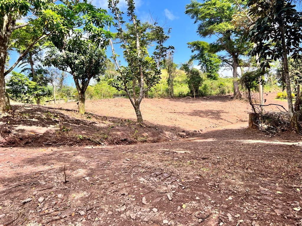 Bo. Damian Abajo Property Photo 10