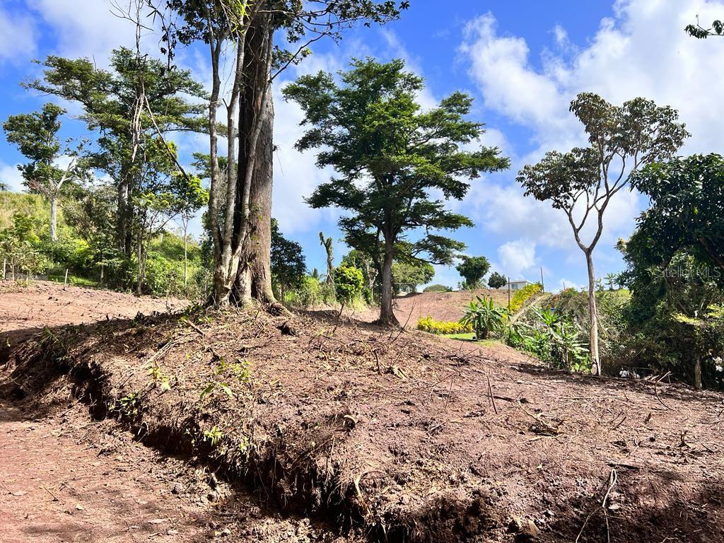 Bo. Damian Abajo Property Photo 12