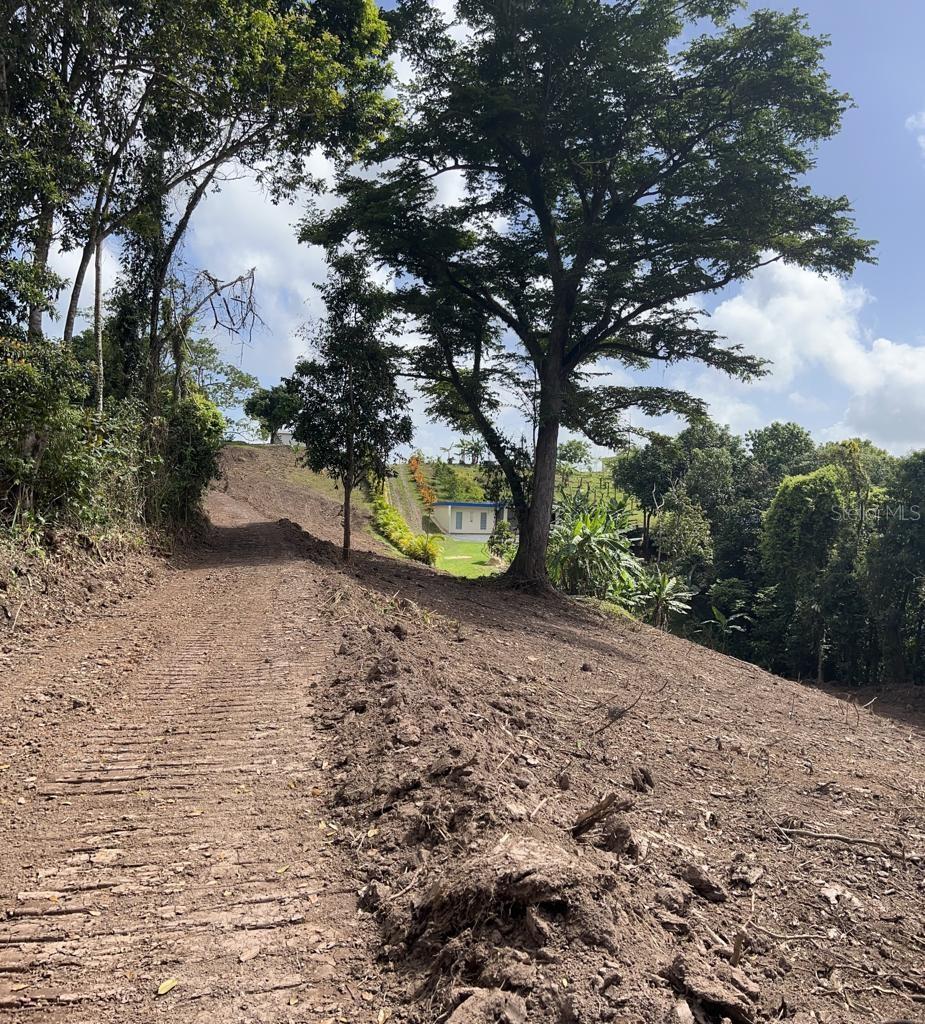 Bo. Damian Abajo Property Photo 13