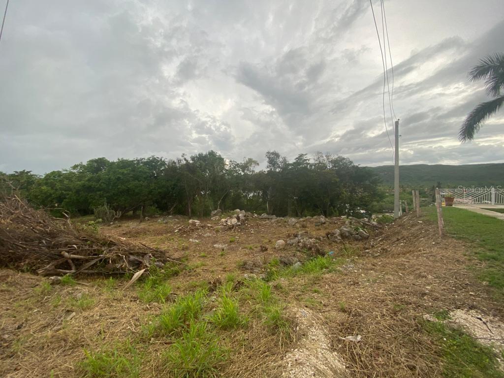 San Jacinto Property Photo 1