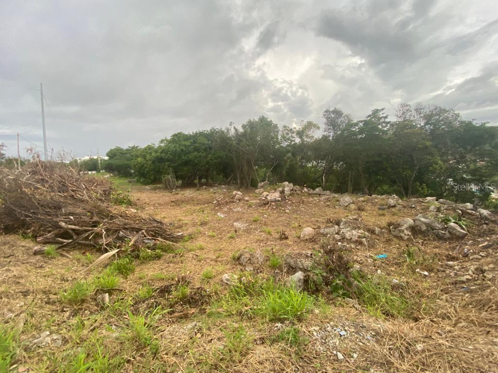 San Jacinto Property Photo 3