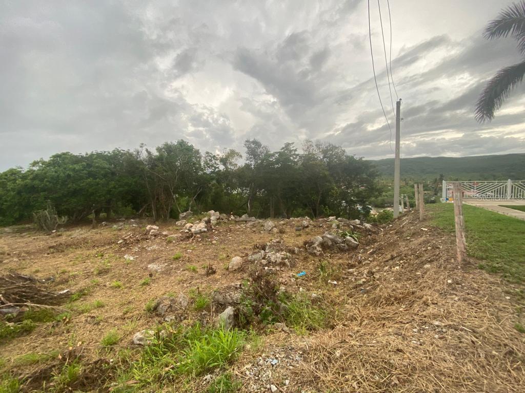 San Jacinto Property Photo 4