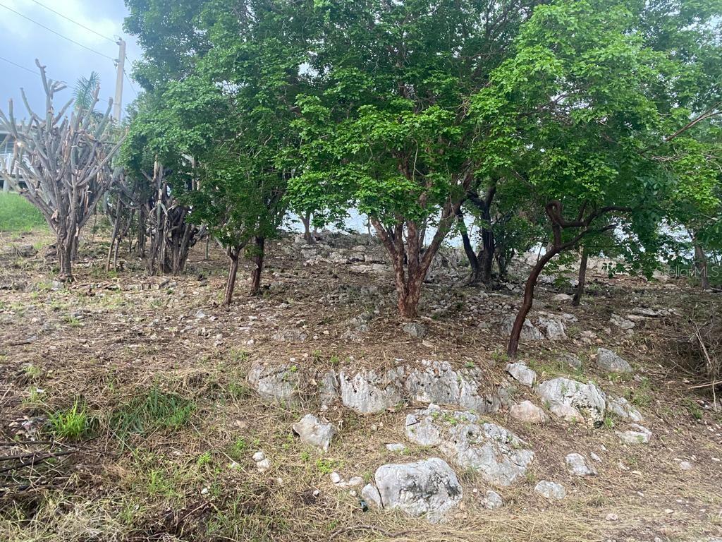 San Jacinto Property Photo 9