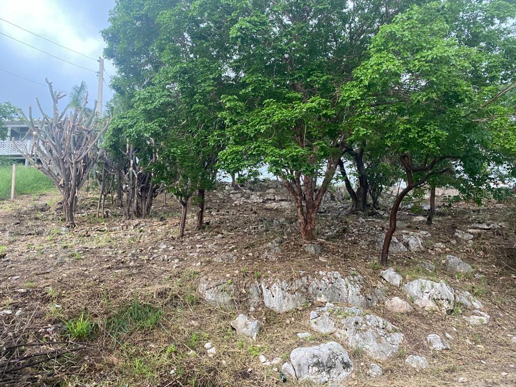 San Jacinto Property Photo 10