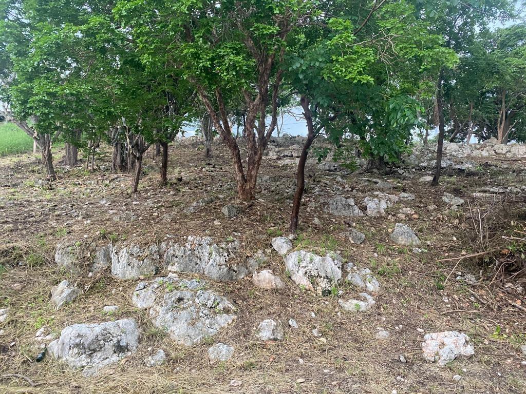 San Jacinto Property Photo 11