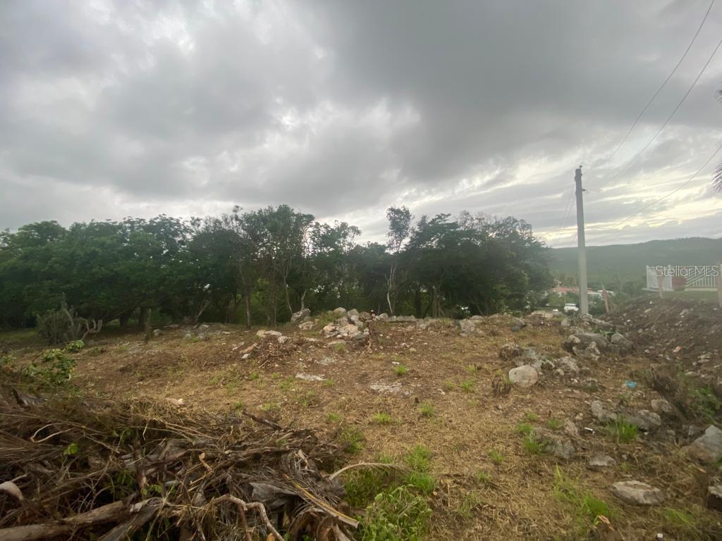 San Jacinto Property Photo 16