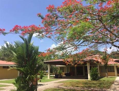 Carr 1, Km 21.3 Bo. La Muda Property Photo 1