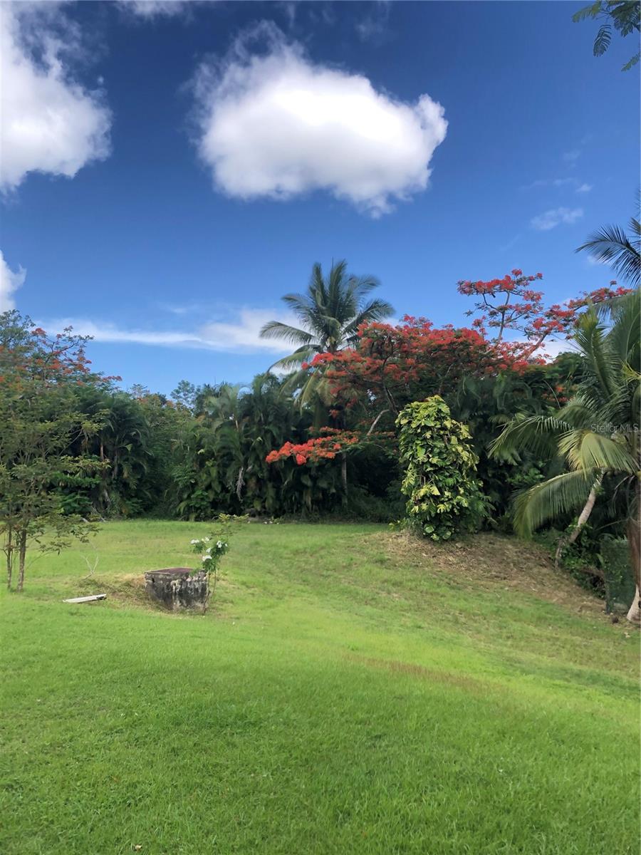 Carr 1, Km 21.3 Bo. La Muda Property Photo 6