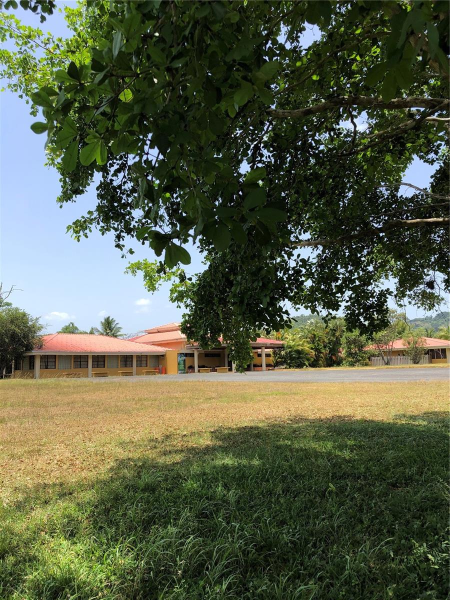 Carr 1, Km 21.3 Bo. La Muda Property Photo 9