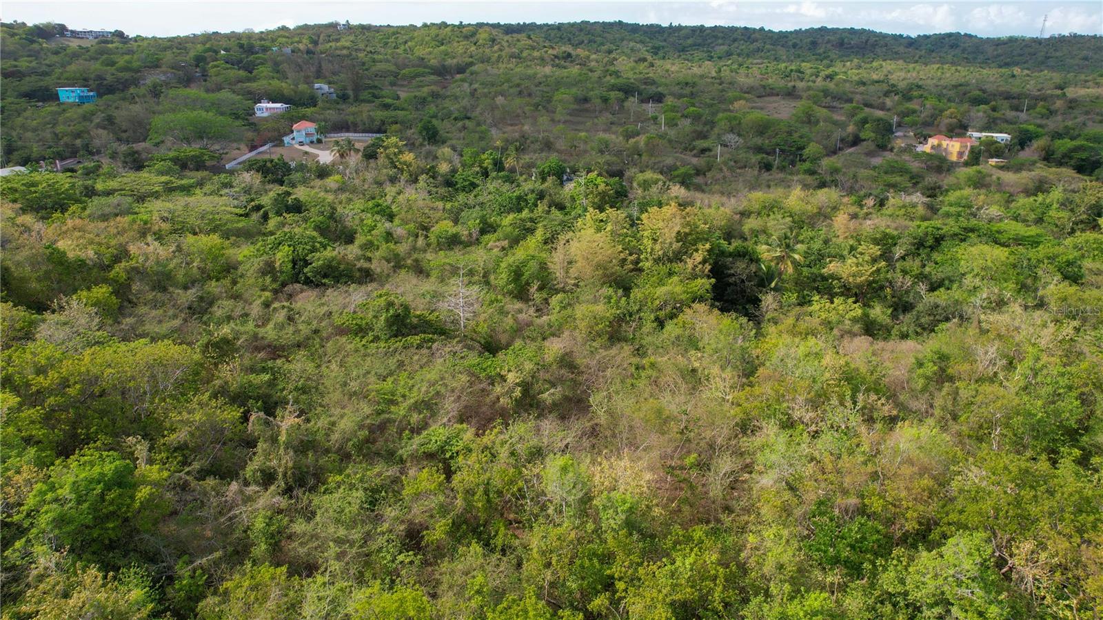 3055 Bo. Pilon Property Photo 2