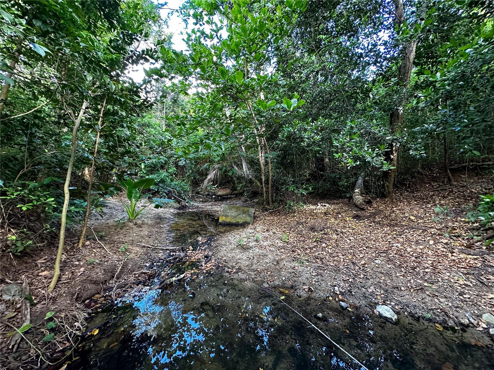 3055 Bo. Pilon Property Photo 3