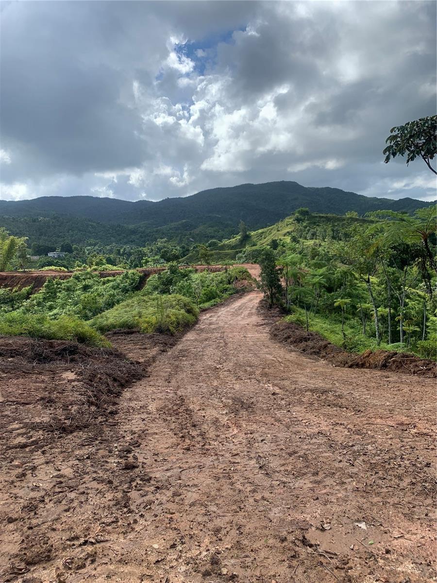 Guayabotas Property Photo 4