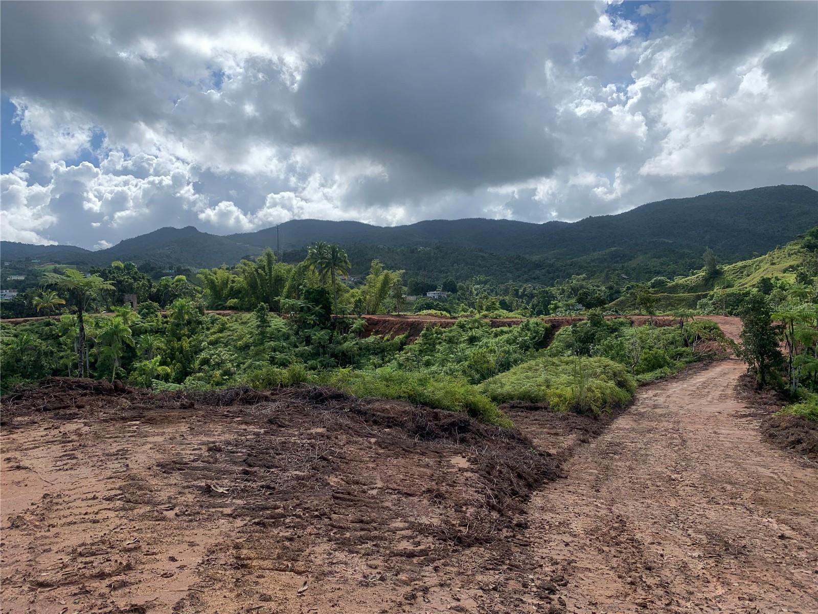 Guayabotas Property Photo 5