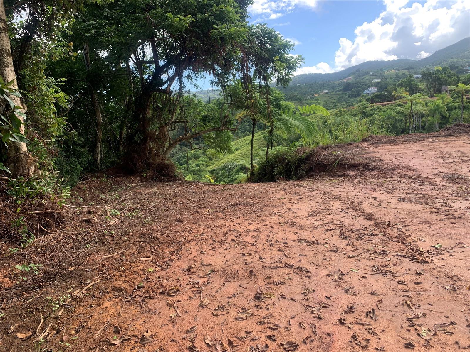 Guayabotas Property Photo 6