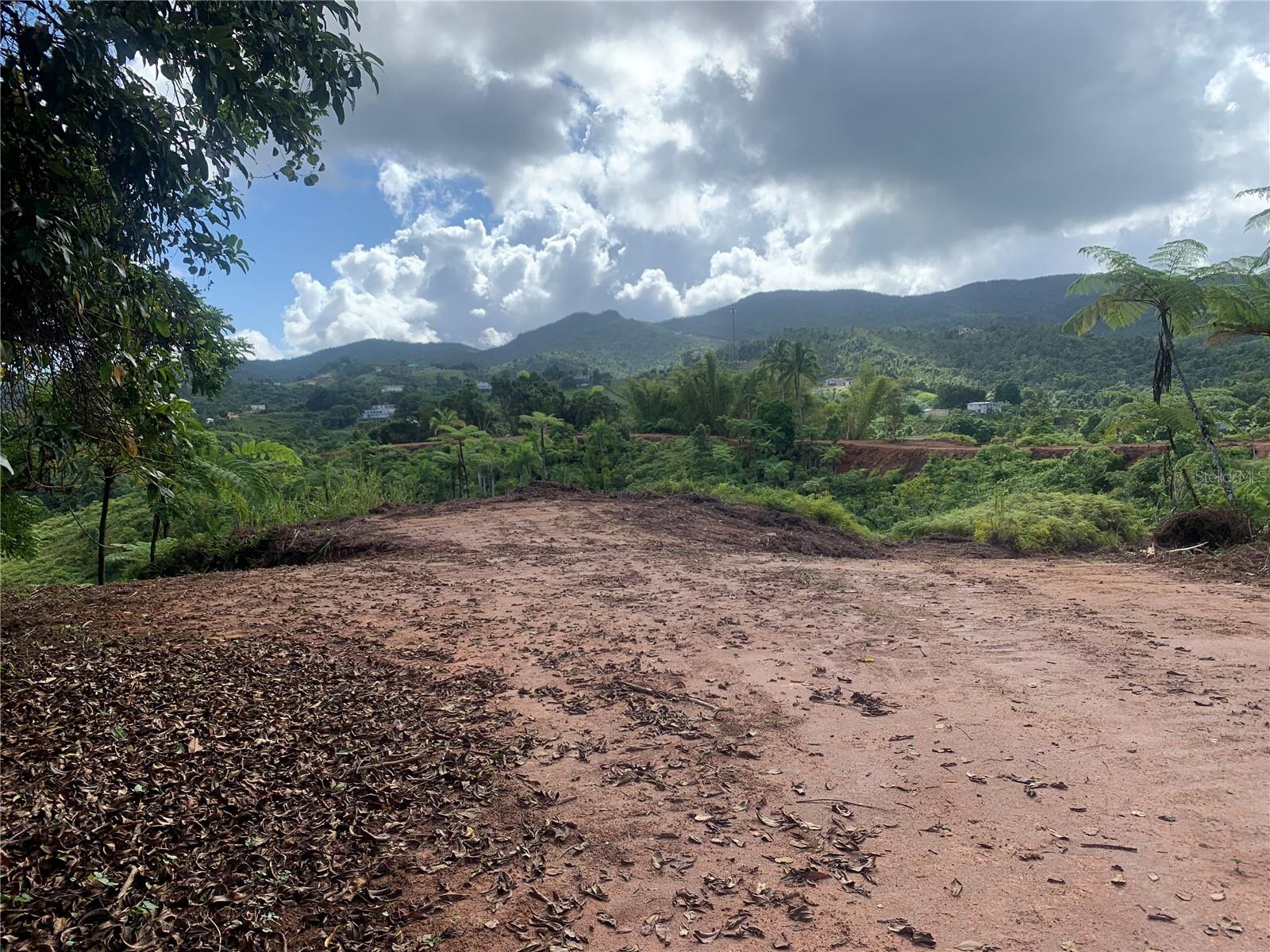 Guayabotas Property Photo 7