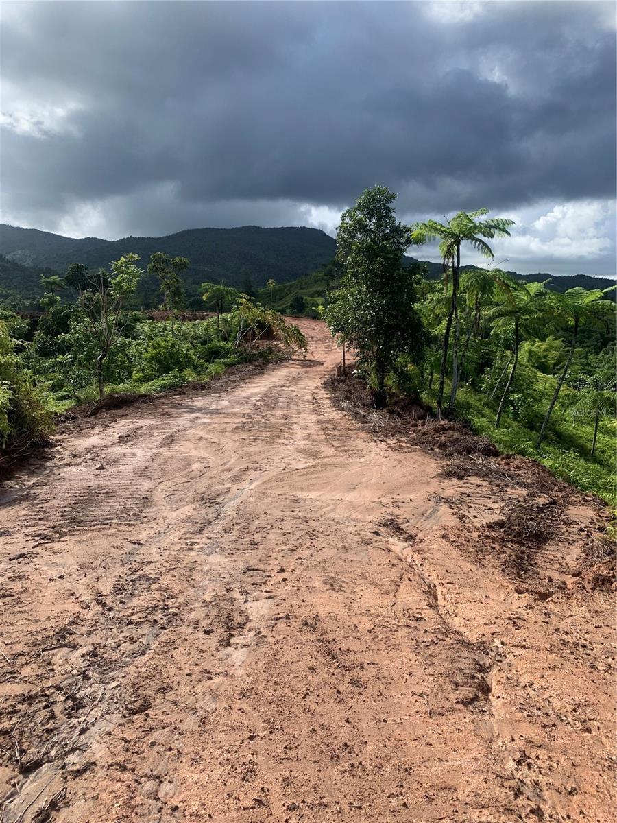 Guayabotas Property Photo 8
