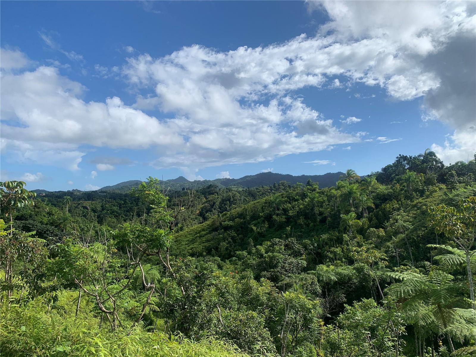 Guayabotas Property Photo 11