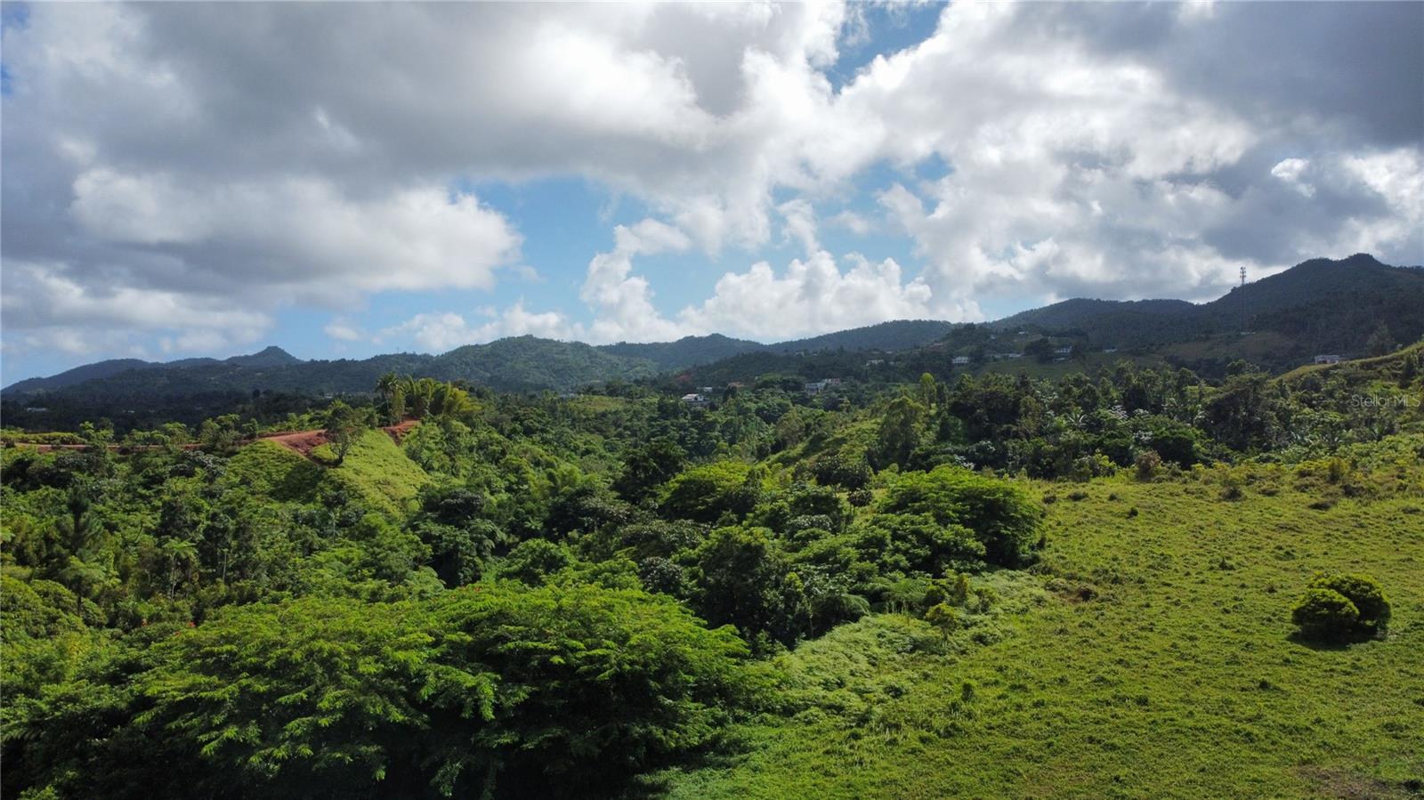 Guayabotas Property Photo 13